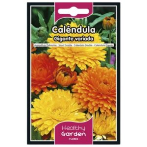 Pacote de Sementes de Calêndula Gigante com flores laranja e amarelas