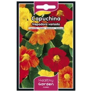 Pacote de Sementes de Capuchinha Trepadeira com flores coloridas