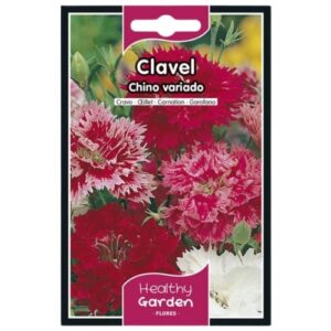 Pacote de Sementes Cravo Chinês com flores coloridas