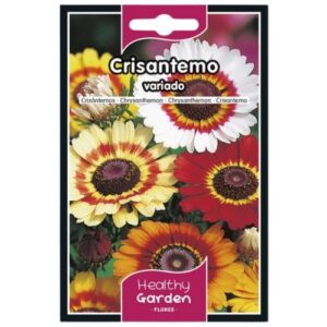 Pacote de sementes de crisântemo variado com flores coloridas