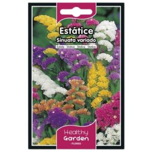 Pacote de Sementes Estátice Sinuata com flores coloridas