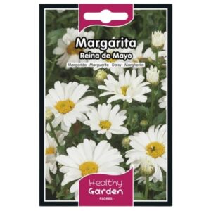 Pacote de Sementes Margarida Branca de Maio