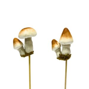 Pick decorativo de cogumelo para arranjos florais, pack de 6