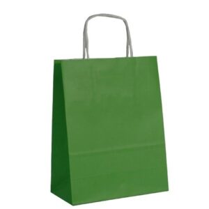 Saco de Papel Colorido com Asas Torcidas 18x8x24cm em Verde Escuro