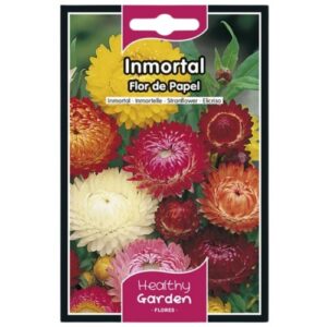 Pacote de Sementes Flor de Papel Imortal