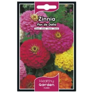 Pacote de Sementes de Zínia Flor de Dália com flores coloridas