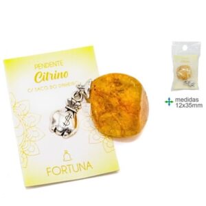 Pendente com Pedra Citrino e Saco do Dinheiro - Fortuna