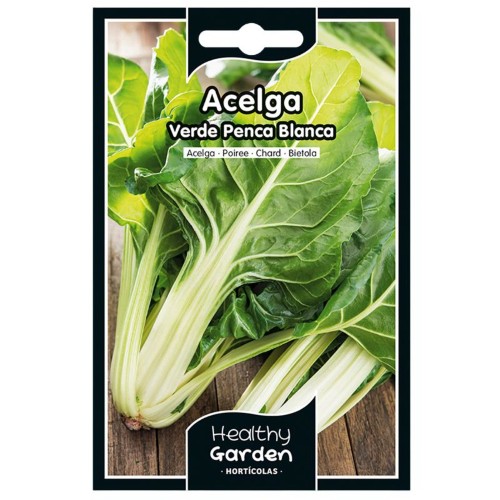 Pacote de Sementes - Acelga Verde de Penca Branca