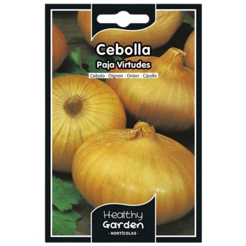Pacote de Sementes - Cebola Amarela Paja Virtudes