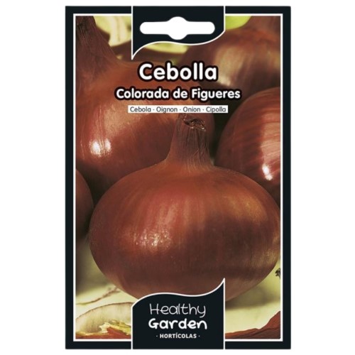 Pacote de Sementes - Cebola Vermelha de Figueres