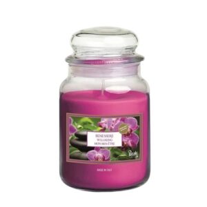 Vela Perfumada em Frasco - 500g, Bem Estar