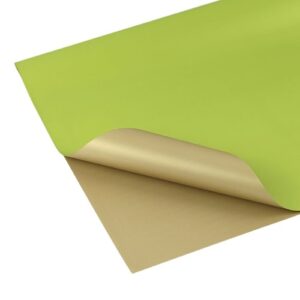 Papel Colorido Quadrado 58 x 58cm - 20 Folhas, Verde Lima